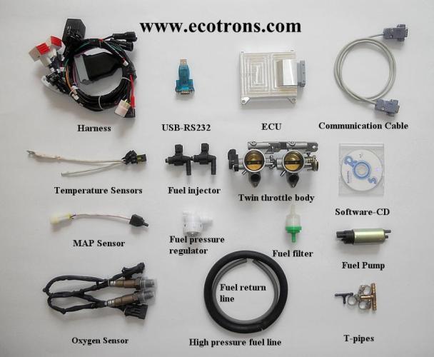 Kawasaki Ninja 250cc EFI kit
